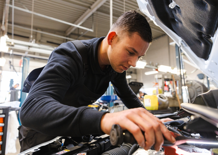 Foto over het succesverhaal van Toyota Drent