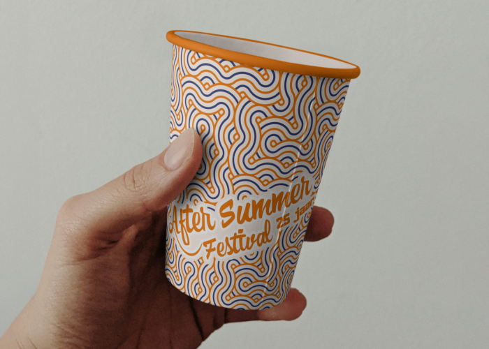 Project afbeelding voor After Summer Festival